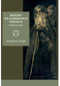 Kolosy na glinianych nogach