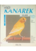 Kanarek