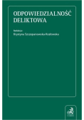 Odpowiedzialność deliktowa