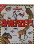Zwierzęta