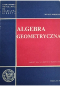 Algebra geometryczna
