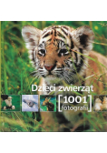 Dzieci zwierząt 1001 fotografii