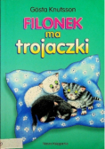 Filonek ma trojaczki
