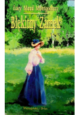 Błękitny zamek