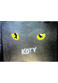 Koty