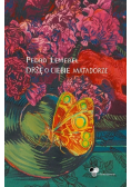 Drżę o Ciebie Matadorze