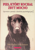 Pies który kochał zbyt mocno