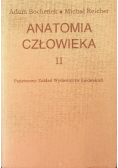 Anatomia człowieka Tom II
