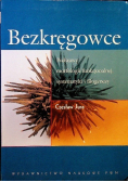 Bezkręgowce