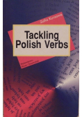 Tackling polish verbs