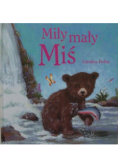 Miły mały Miś