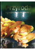 Przyroda województwa kujawsko - pomorskiego