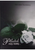 Płatek róży białej
