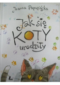 Jak się koty urodziły