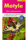 Atlas motyle