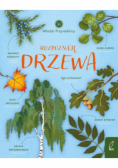 Młodzi przyrodnicy Rozpoznaję drzewa