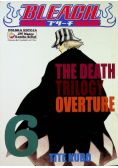 Bleach Tom 6