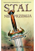 Stal nie przemija