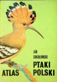 Ptaki Polski Atlas