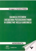 Diagnoza Systemów Zarządzania Przedsiębiorstwami w górnictwie węgla kamiennego