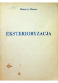 Eksterioryzacja