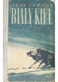 Biały kieł