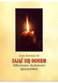 Zająć się ogniem