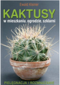 Kaktusy w mieszkaniu ogrodzie szklarni