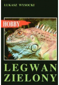 Legwan zielony