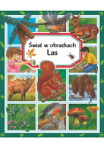 Świat w obrazkach Las