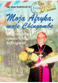Moja Afryka, moje Chingombe dzieje misjonarza opisane w listach do Przyjaciół