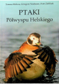 Ptaki Półwyspu Helskiego