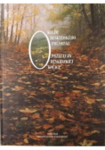 Okolice beskidzkiej przełęczy