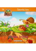 Sekrety lasu Gleba leśna