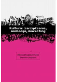 Kultura zarządzanie animacja marketing