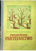 Praktyczne pszczelnictwo