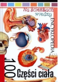 100 Części ciała