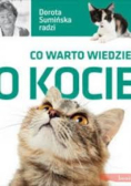 Co warto wiedzieć o kocie
