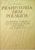 Prahistoria ziem Polskich