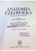 Anatomia człowieka