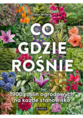 Co gdzie rośnie