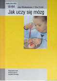 Jak uczy się mózg