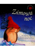 Zimowa noc