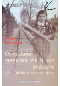 Oznaczona numerem VIII / 1 387 przeżyła