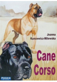 Cane Corso