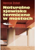 Naturalne zjawiska termiczne w mostach