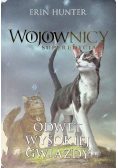 Wojownicy. Superedycja T.4 Odwet Wysokiej Gwiazdy