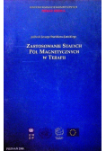 Zastosowanie stałych pól magnetycznych w terapii