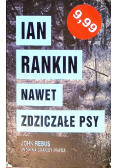 Nawet zdziczałe psy