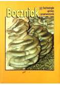 Boczniak Technologia uprawy i przetwarzania